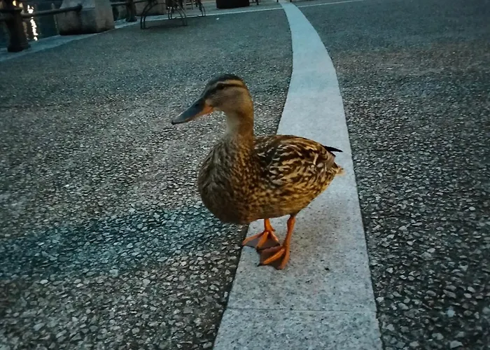 Appartamento Doba House *