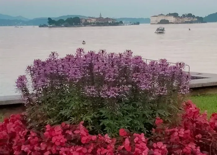 Doba House Lejlighed